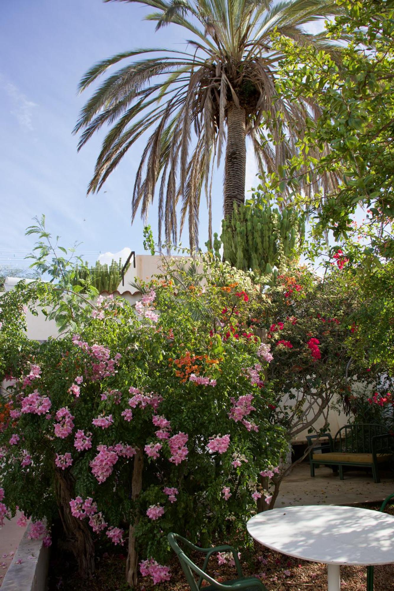 La Pandilla Ibiza Hostel Sant Francesc de s'Estany Exterior photo